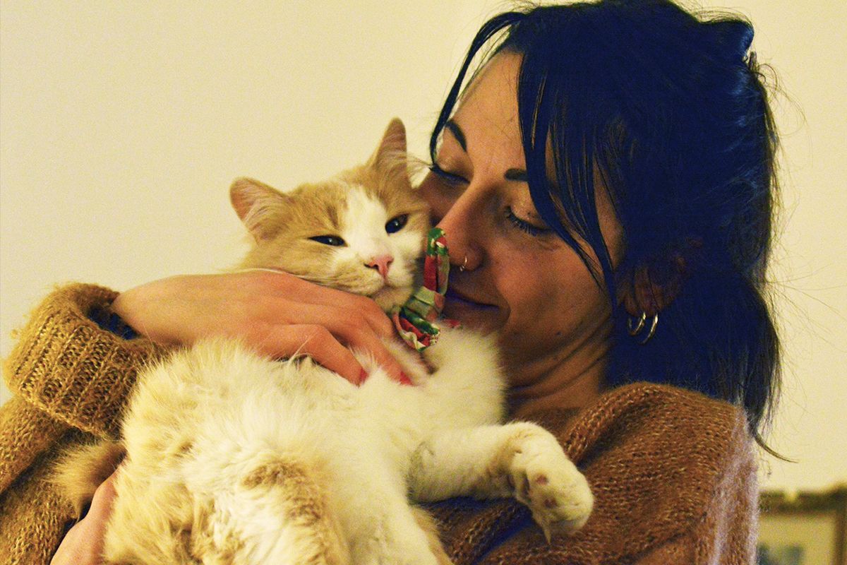 Panduan Lengkap Melatih Kucing Peliharaan Merespons Namanya Sendiri